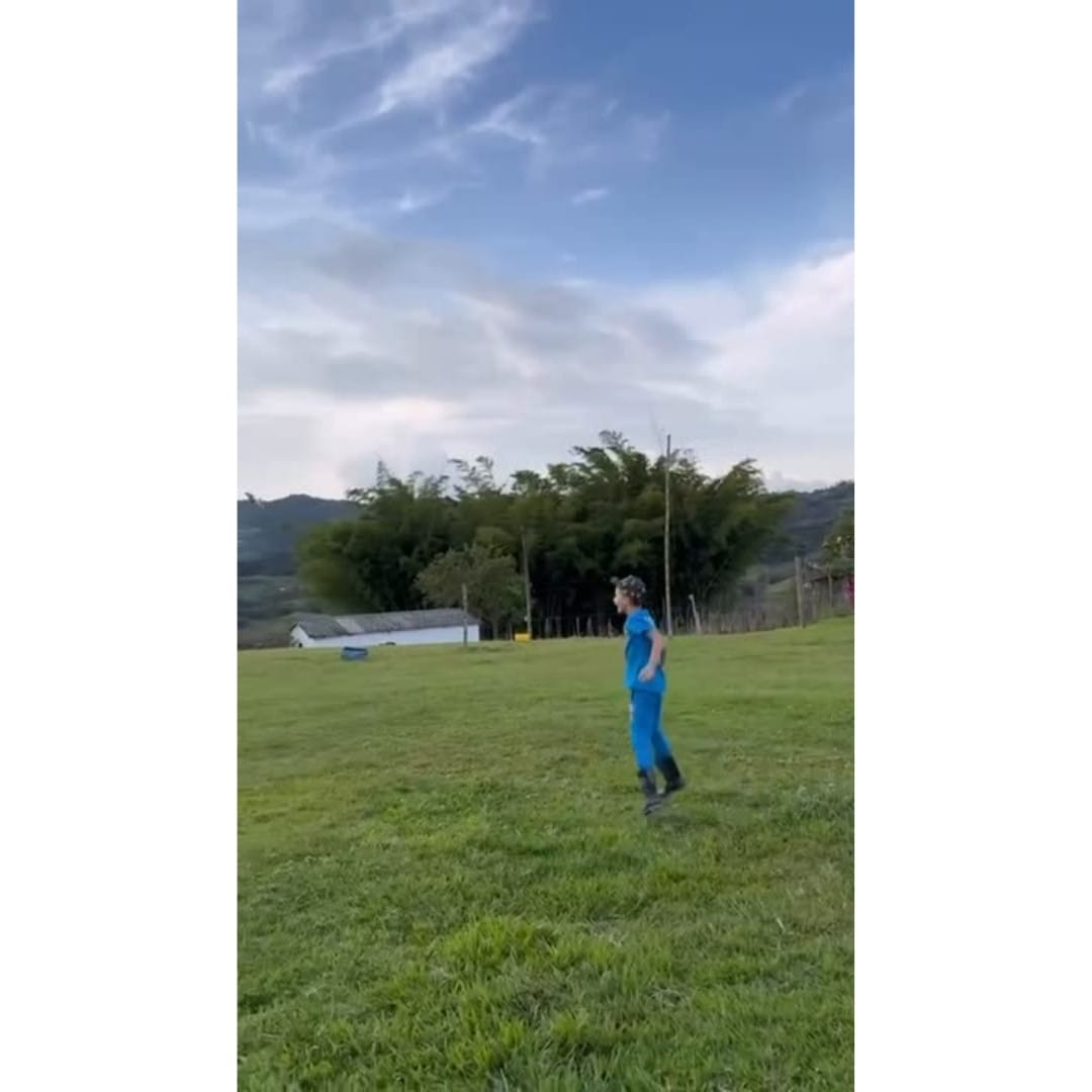 Jet glider soaring above park grass
